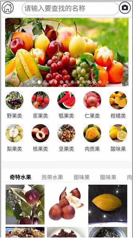水果百科截图3