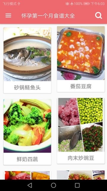 孕妇营养食谱截图1