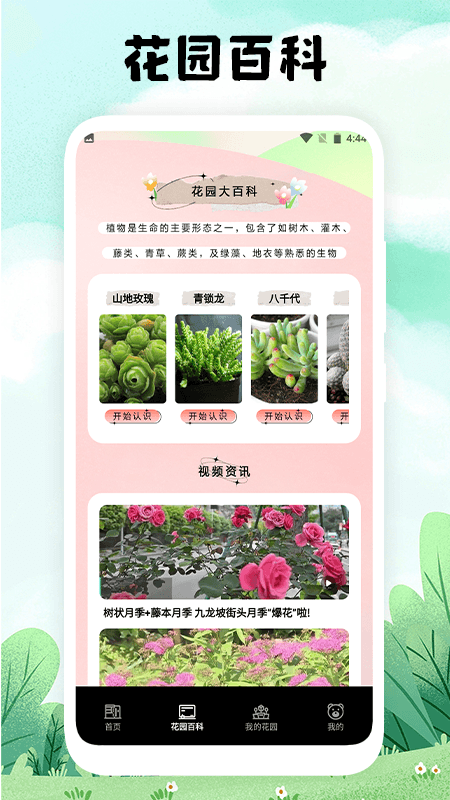 识图大师截图1