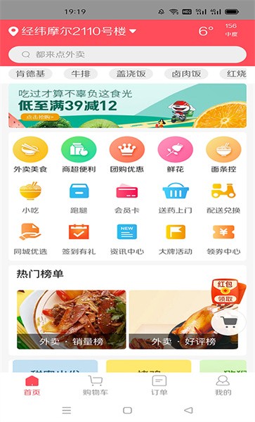沙湖鸟
