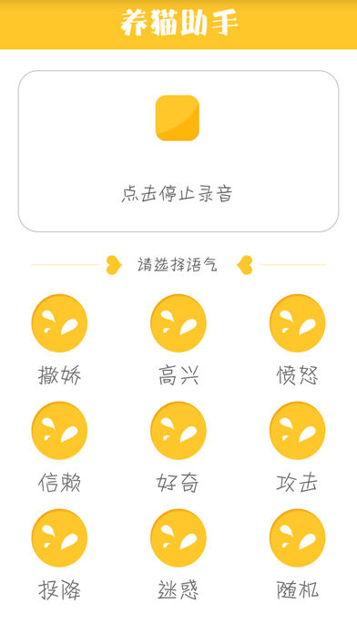 逗猫养猫助手截图2