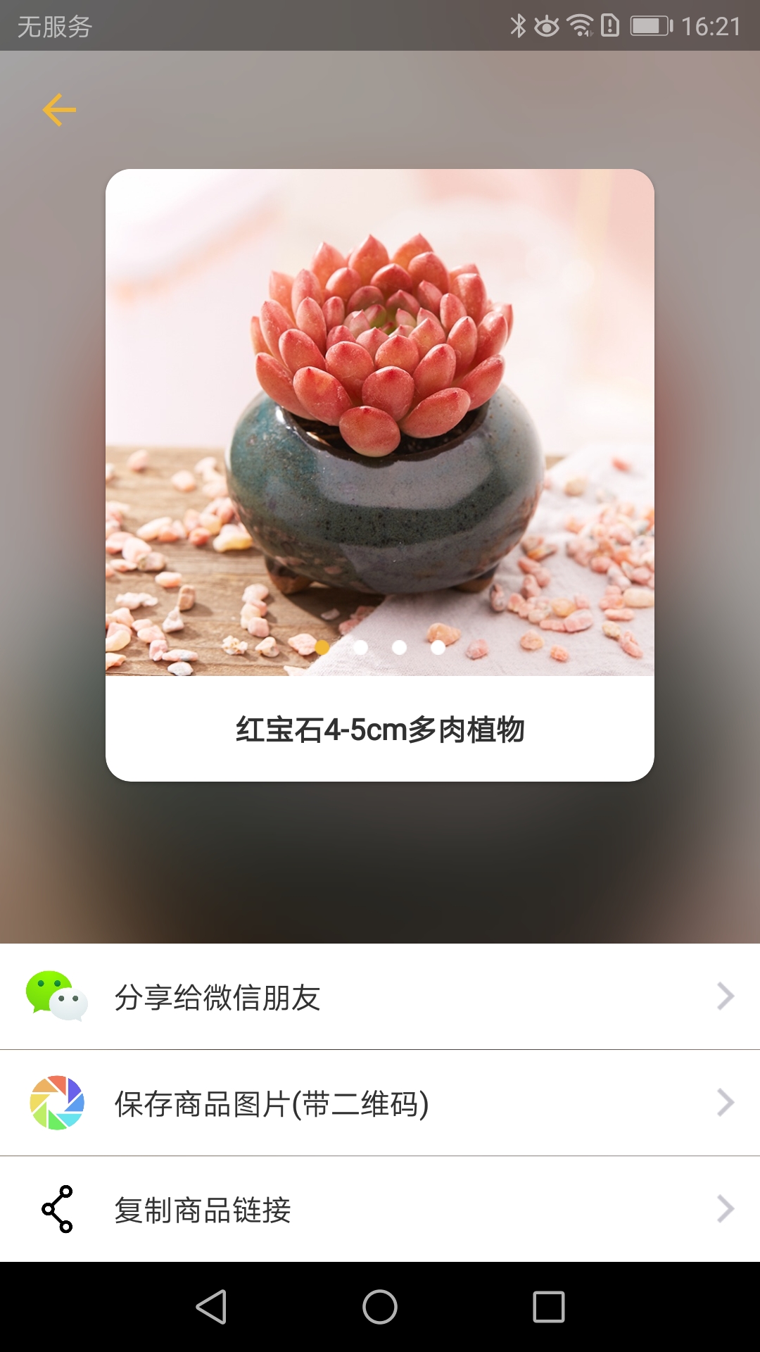 盆栽玩家截图1