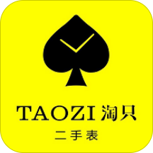 淘只二手表