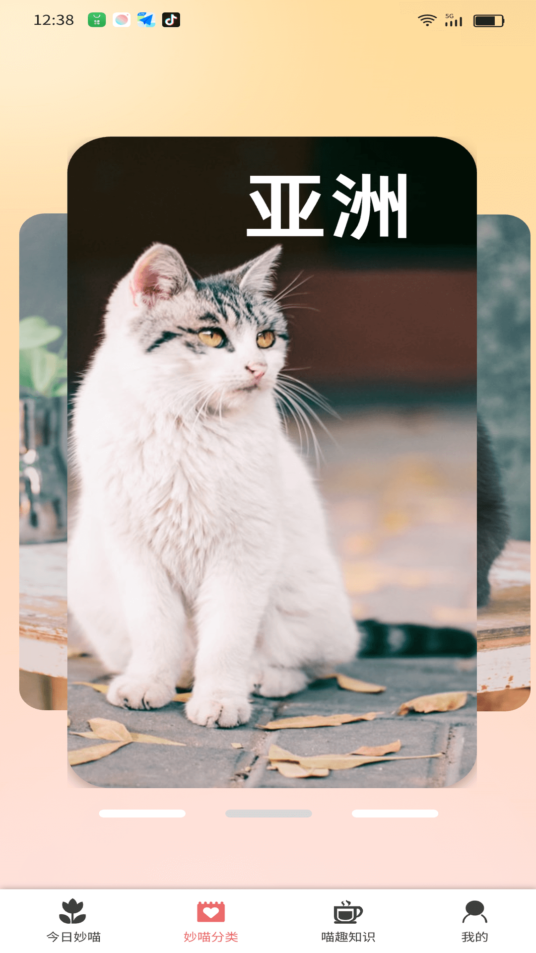 妙喵截图3