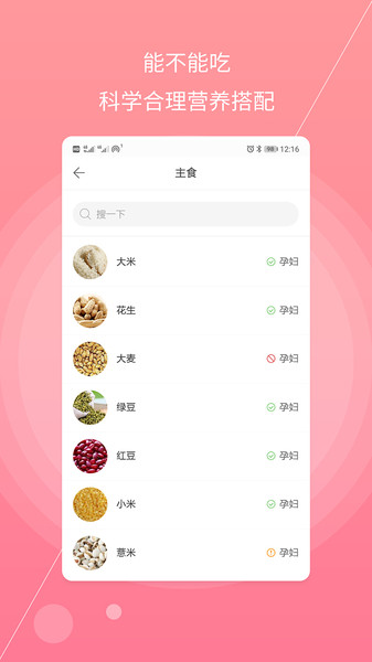 孕妇备孕-01