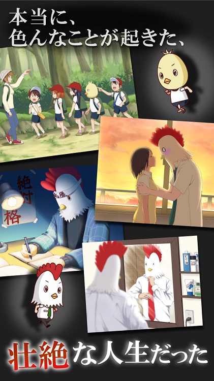 生而为鸟的男人截图2