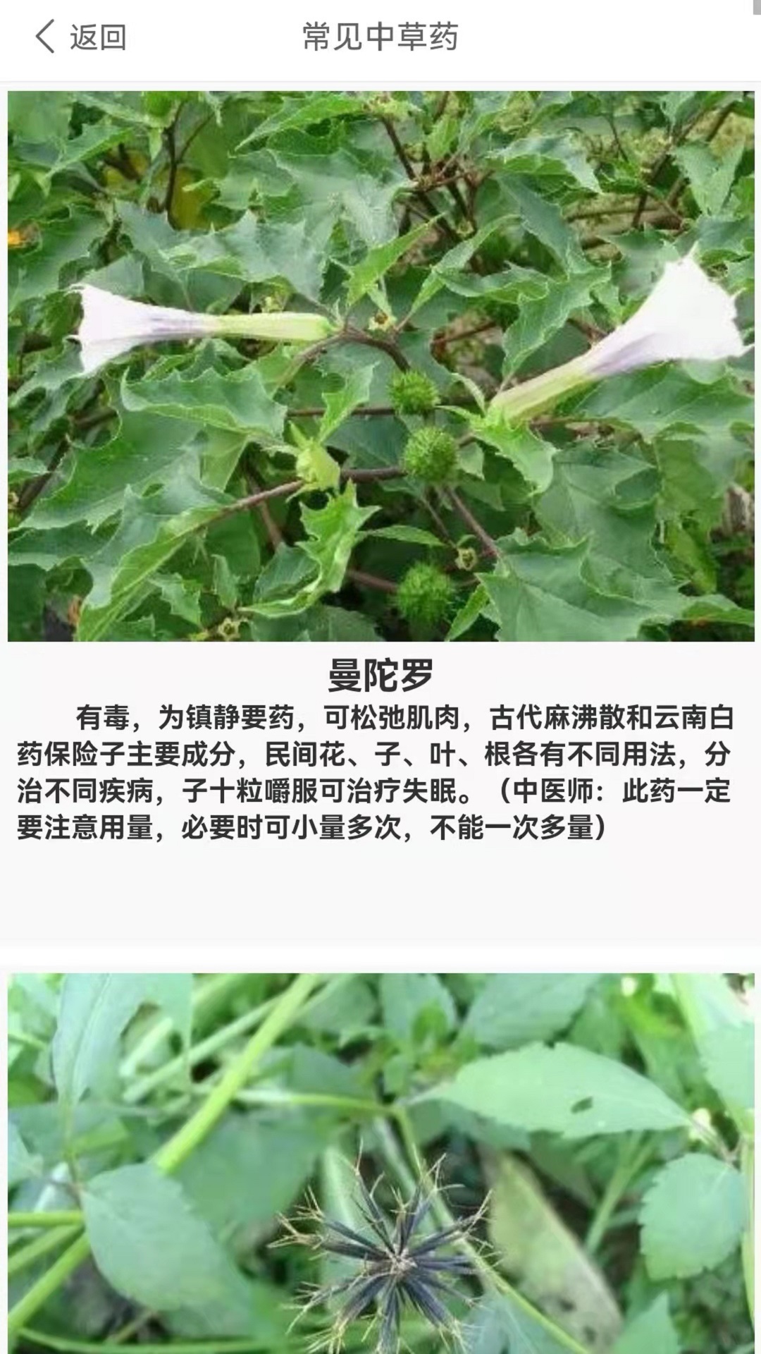 养生健康-01
