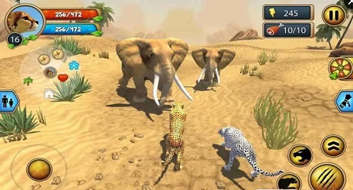 猎豹家庭3d截图3