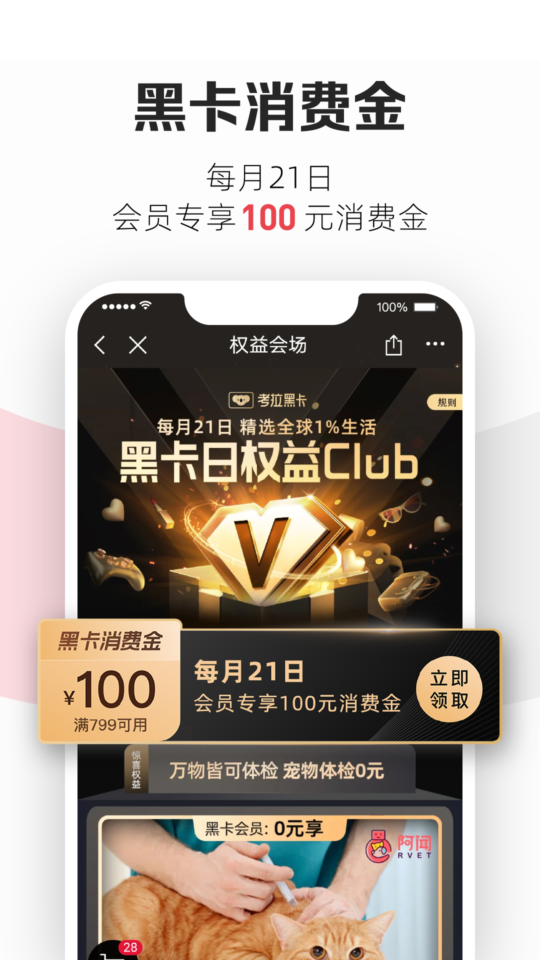 易考拉截图5