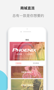 凤凰智行-01