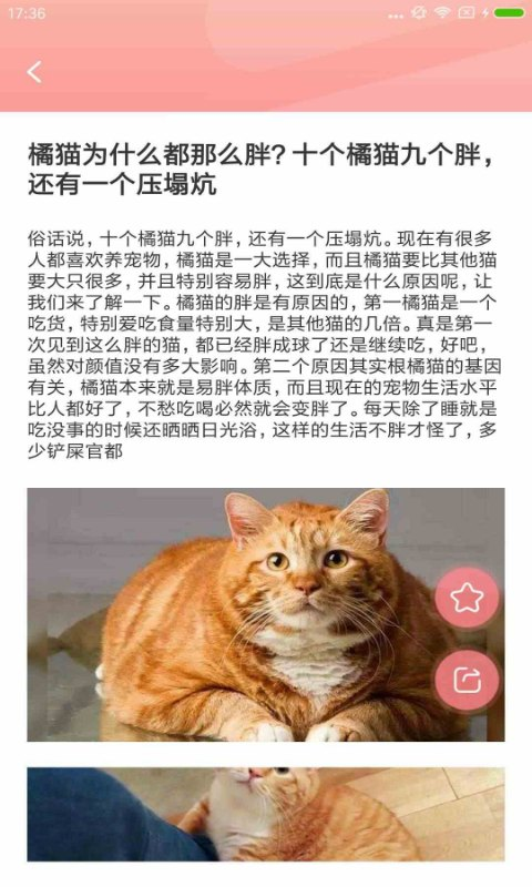 宠物公社下载_宠物公社安卓版下载-3