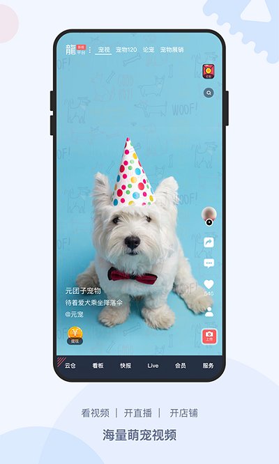 截图5