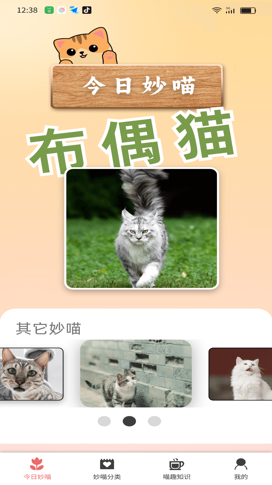 妙喵截图5
