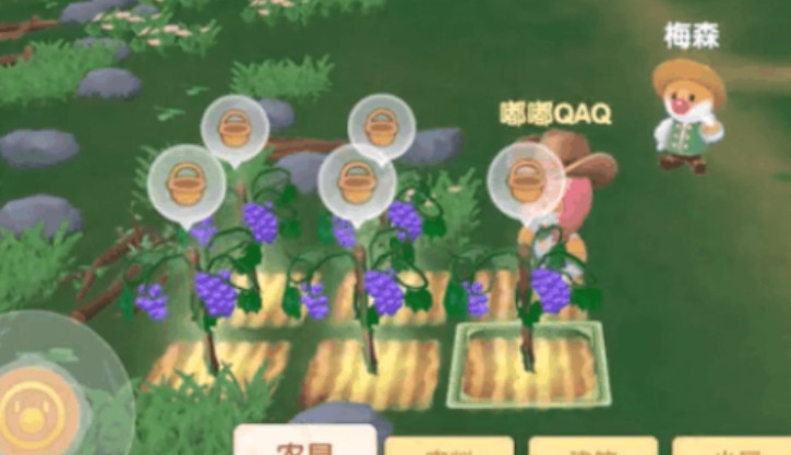 摩尔庄园葡萄要怎么种 摩尔庄园葡萄要怎么种