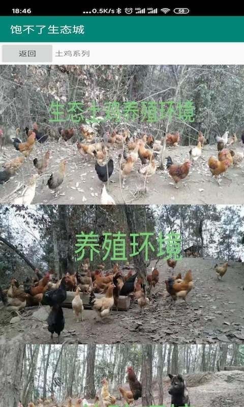 饱不了下载_饱不了苹果版下载-0