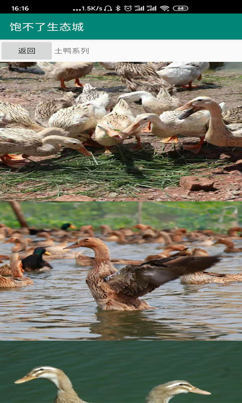 饱不了下载_饱不了苹果版下载-2