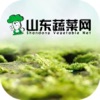 山东蔬菜网