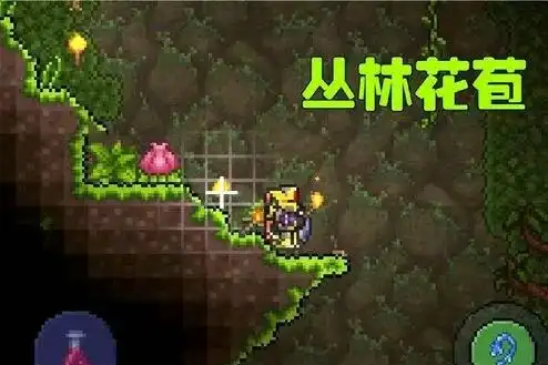 泰拉瑞亚世纪之花花苞怎么找