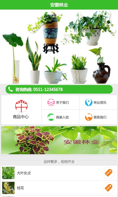 安徽林业截图3