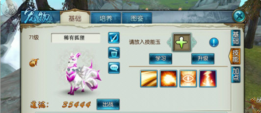 诛仙手游稀有狐狸咋么加点 诛仙手游稀有狐狸咋么加点