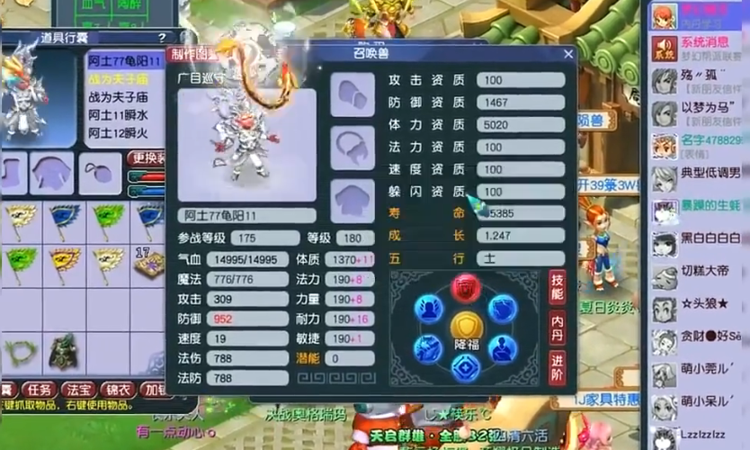 梦幻西游龟速宝宝装什么纹饰