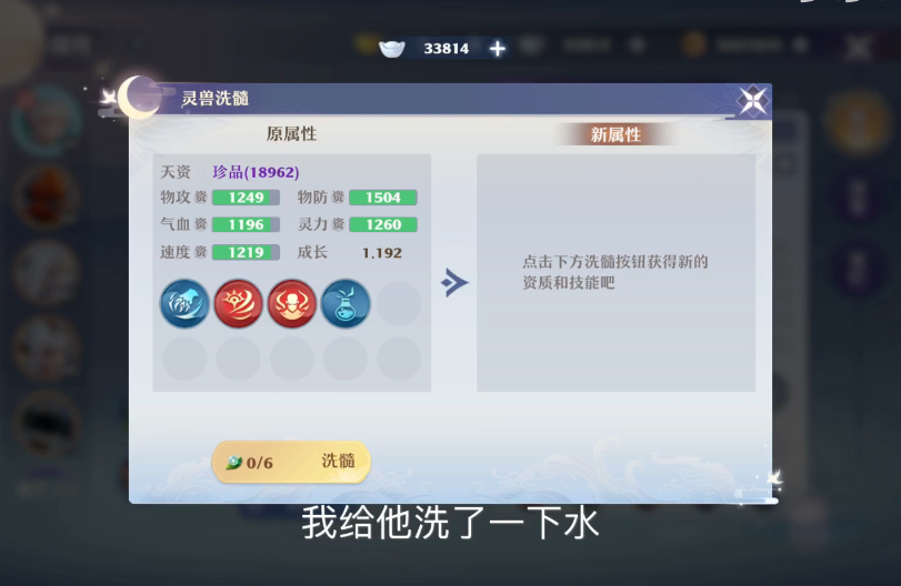 梦幻新诛仙孔雀姬打什么技能 梦幻新诛仙孔雀姬打什么技能