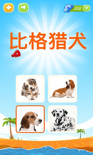 宠物狗乐园
