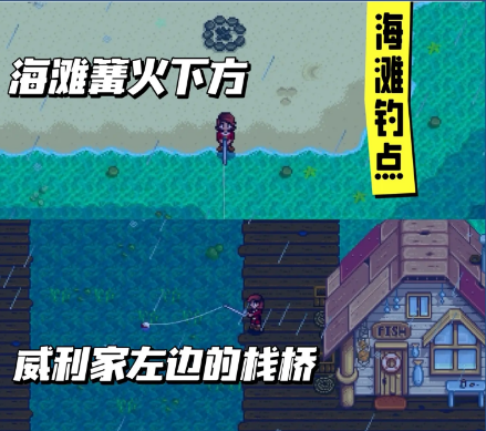 星露谷物语哪里钓鱼赚钱