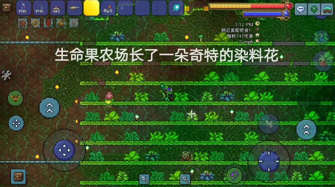 泰拉瑞亚怎么判断植物成熟 泰拉瑞亚怎么判断植物成熟