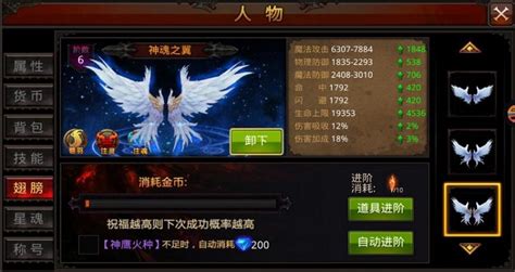 全民奇迹圣导师带什么宠物