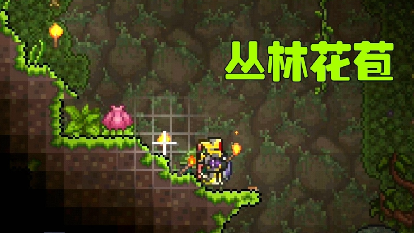泰拉瑞亚如何把世纪之花引到地面 泰拉瑞亚如何把世纪之花引到地面