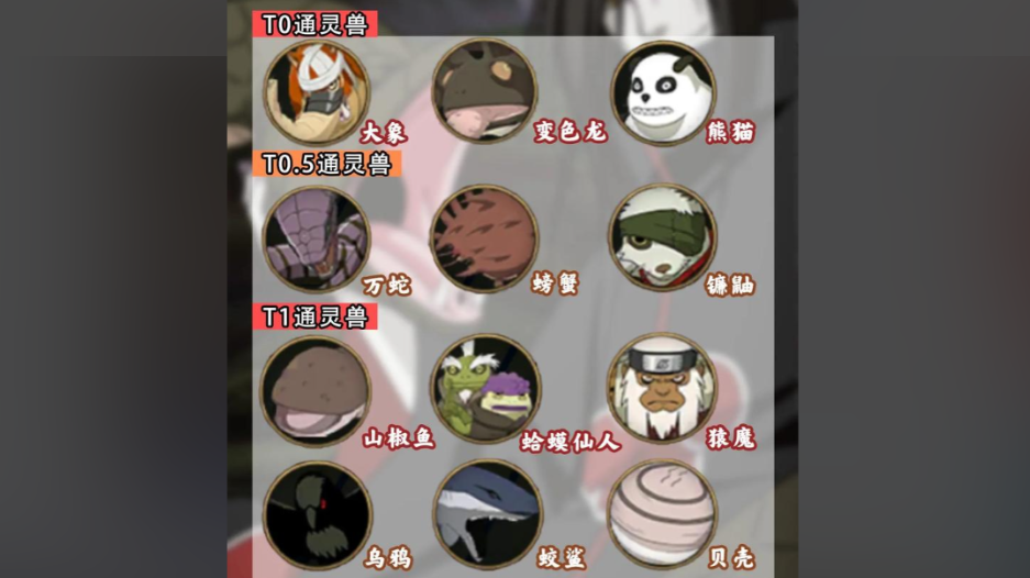火影忍者怎么选择通灵和密卷
