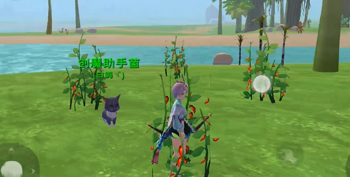 创造与魔法红辣椒在哪里