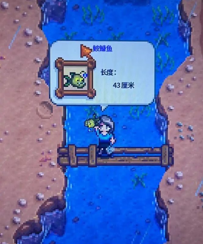 星露谷物语春天的鱼有哪些