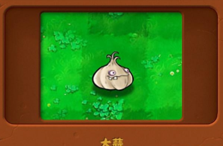 植物大战僵尸大蒜怎么用