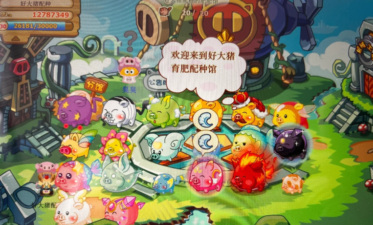 摩尔庄园工坊怎么得到特殊猪猪