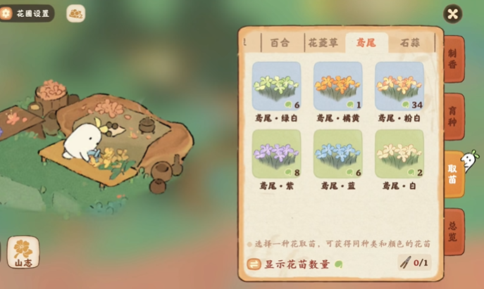 桃源深处有人家白色鸢尾如何培育