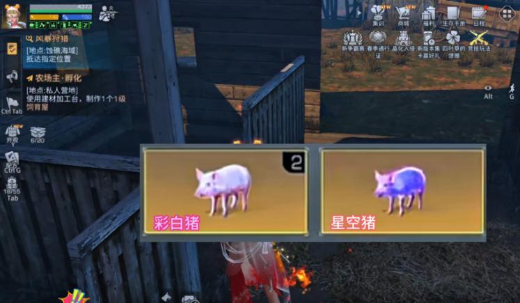明日之后猪怎么收获