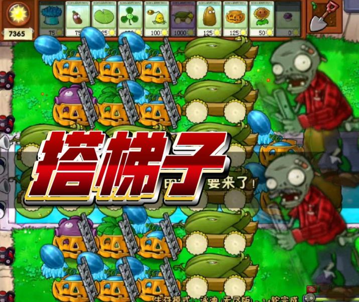 植物大战僵尸无尽模式梯子怎么搭 植物大战僵尸无尽模式梯子怎么搭