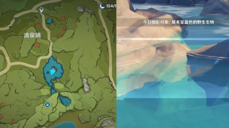 原神到底怎么抓蓝蛙 原神到底怎么抓蓝蛙