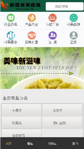 新疆林果商城-01