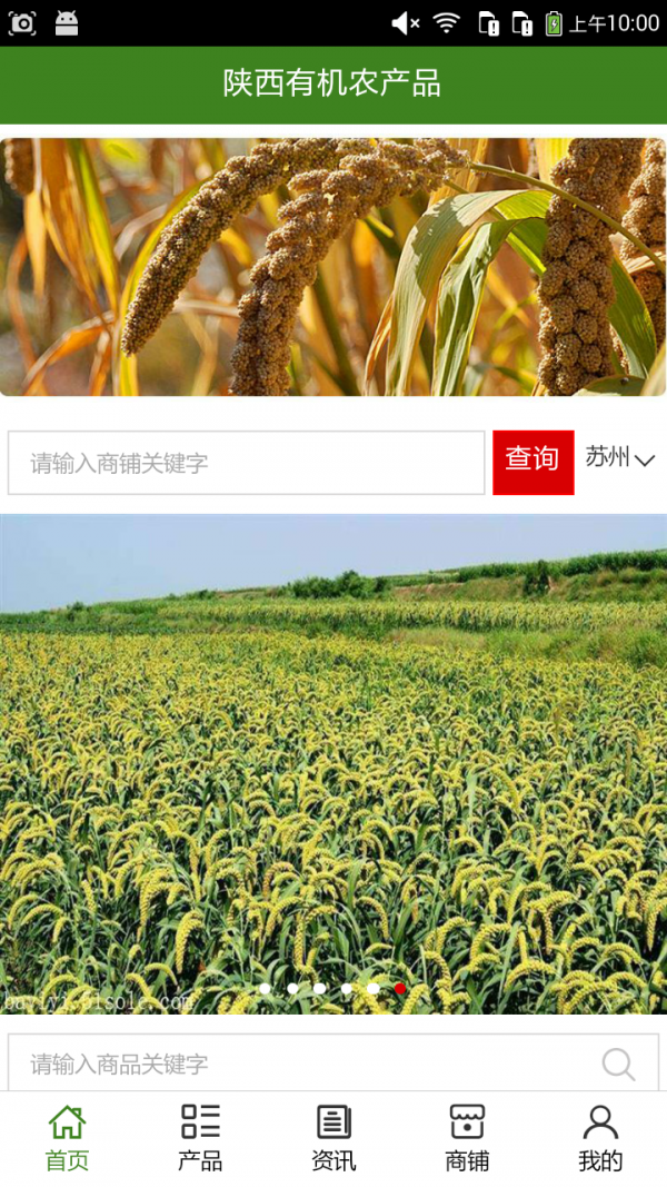 陕西有机农产品-01