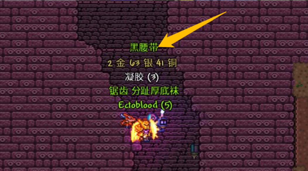 泰拉瑞亚工具腰带有什么用