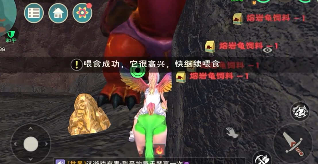 创造与魔法火龟吃什么
