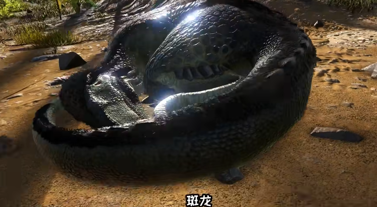 方舟生存进化孤岛什么龙厉害