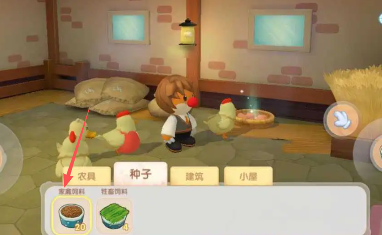 摩尔庄园成年的鸡怎么喂