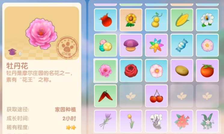 摩尔庄园花车怎么获得