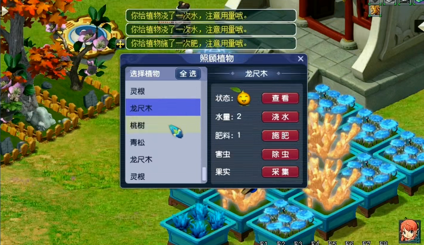 梦幻西游4种子种植得什么 梦幻西游4种子种植得什么