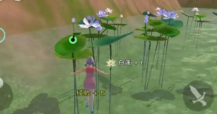 创造与魔法白莲有什么用