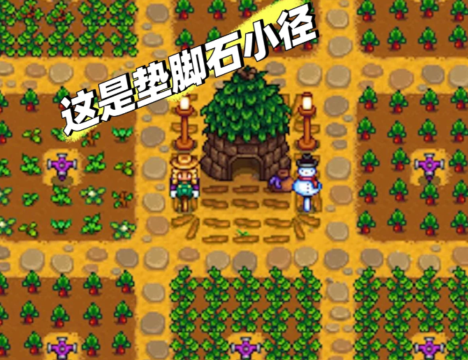 星露谷物语路怎么铺